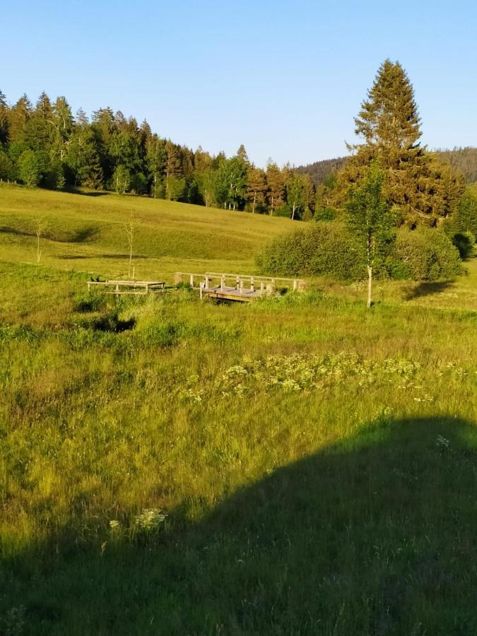 Ferienwohnung Gabi Forbach Exteriér fotografie