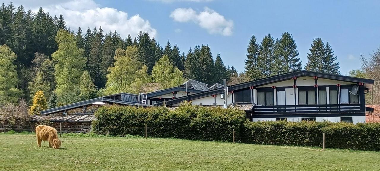 Ferienwohnung Gabi Forbach Exteriér fotografie