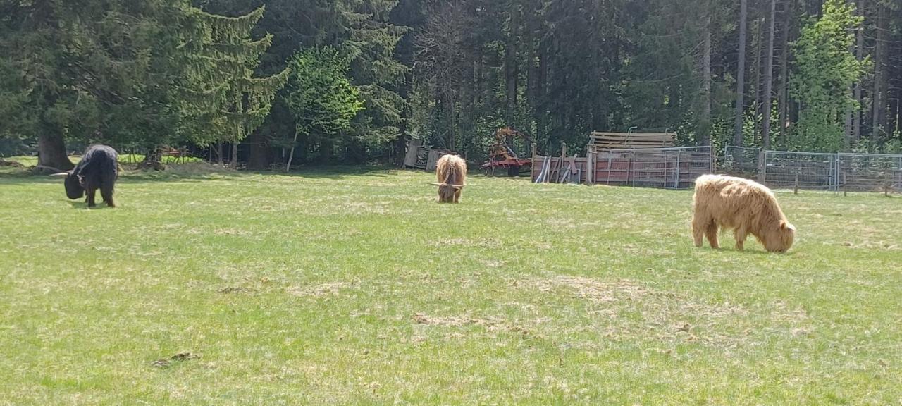 Ferienwohnung Gabi Forbach Exteriér fotografie